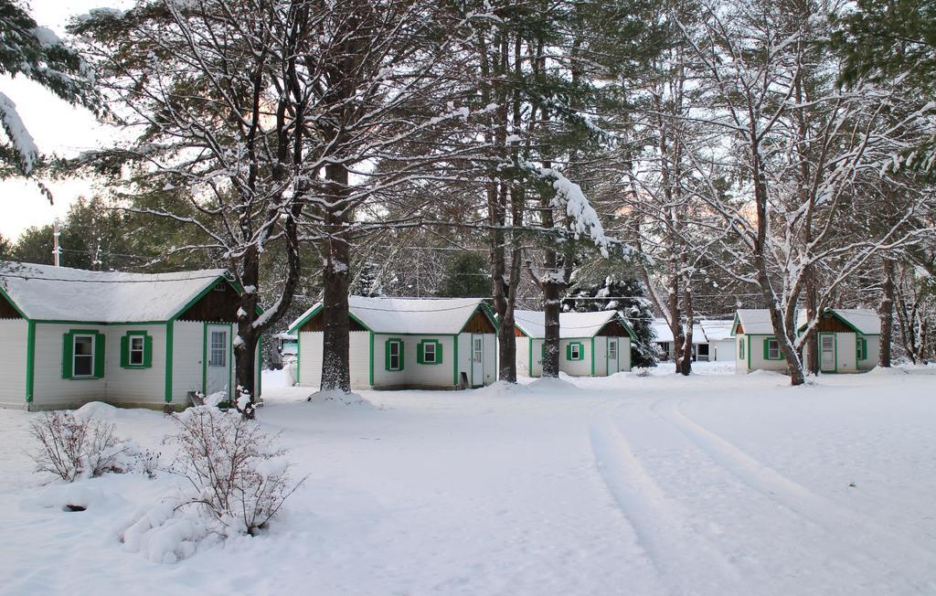 Pine Valley Cabins Thornton Номер фото