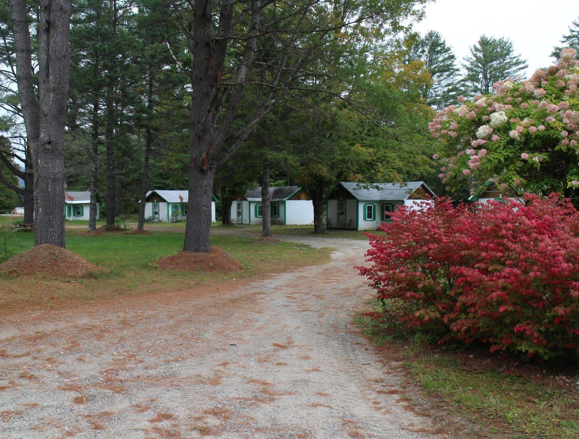 Pine Valley Cabins Thornton Екстер'єр фото
