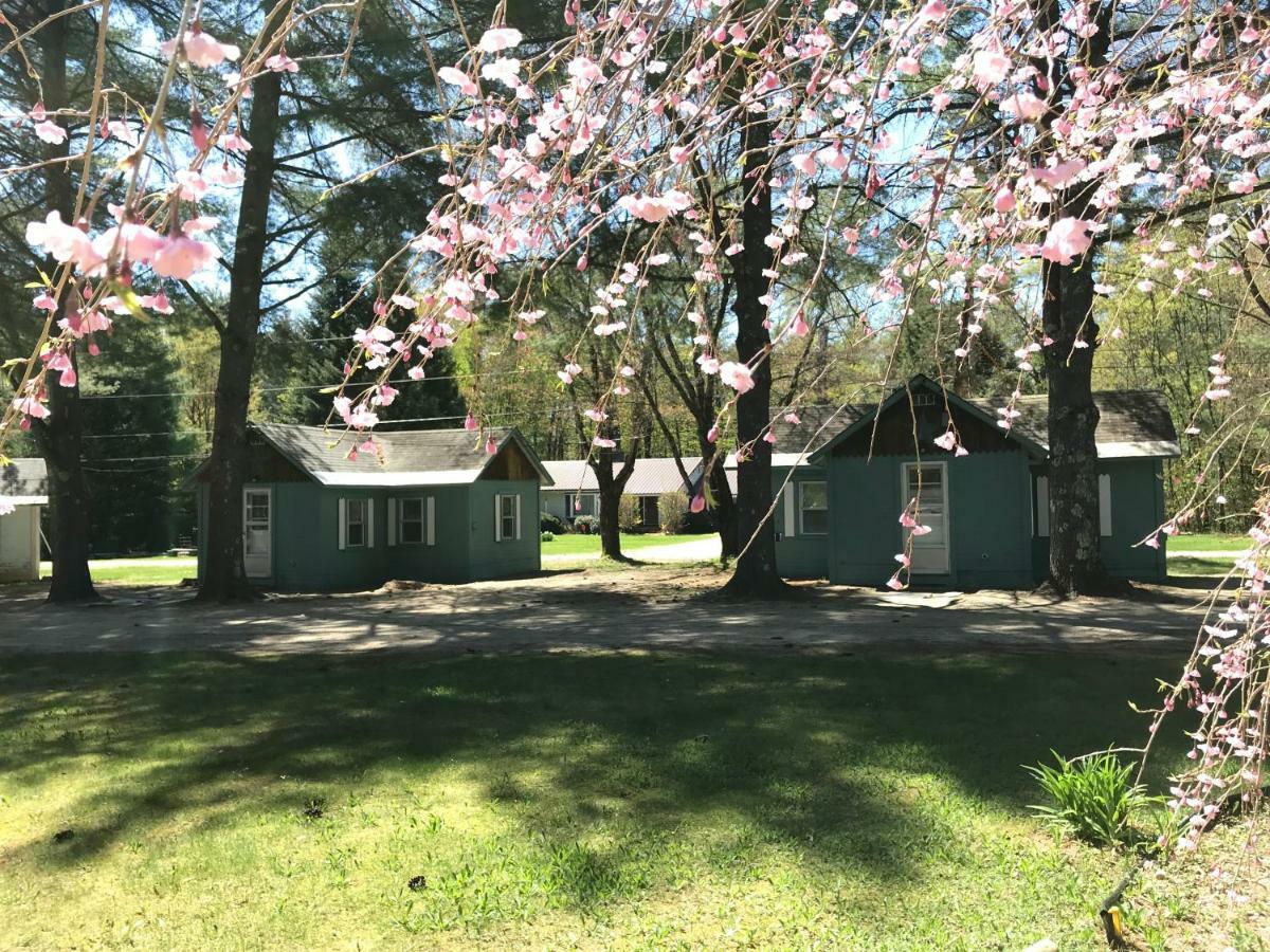 Pine Valley Cabins Thornton Екстер'єр фото